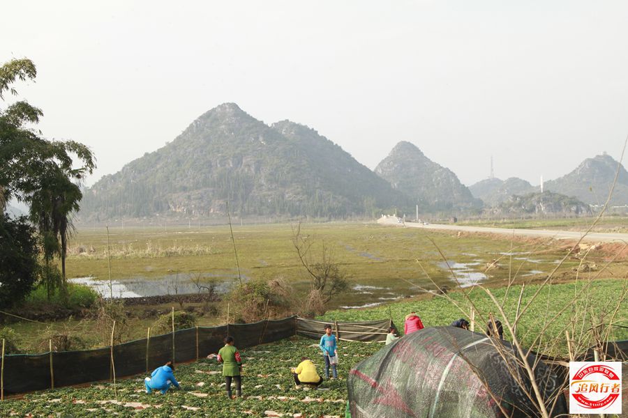 _MG_9607.jpg
