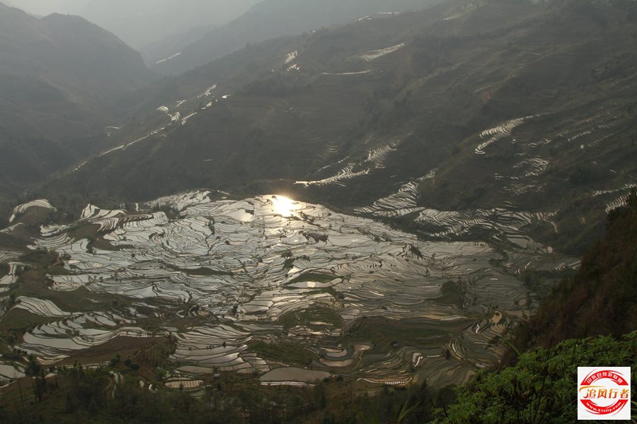 _MG_9668.jpg