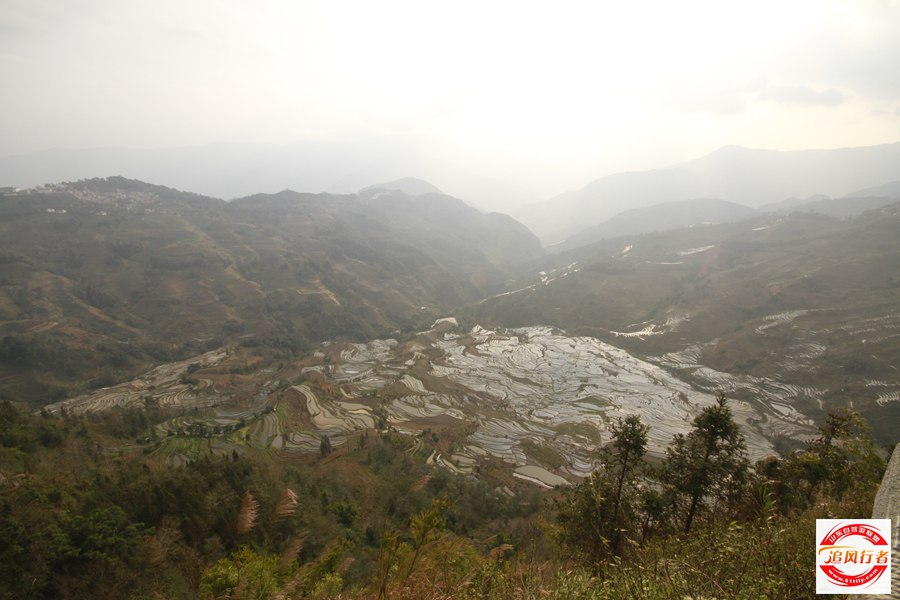_MG_9695.jpg