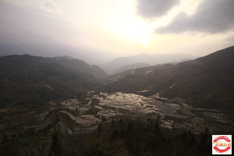_MG_9824.jpg