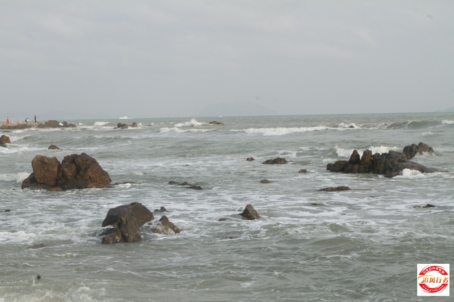 _MG_2772.jpg