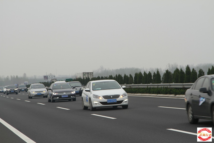 _MG_4556.jpg