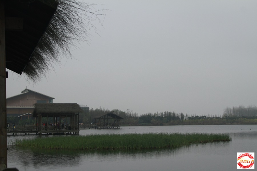 _MG_4637.jpg