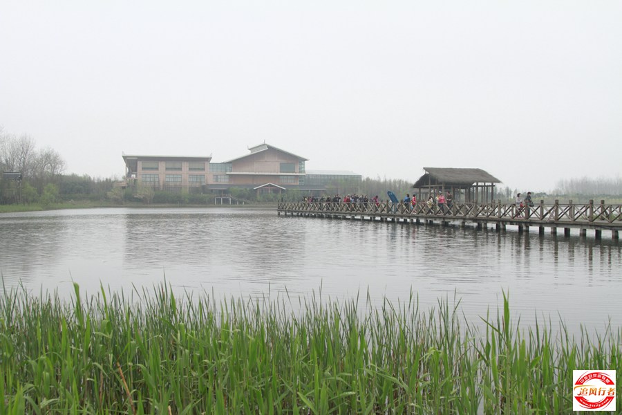 _MG_4641.jpg