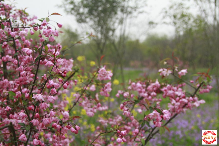 _MG_4800.jpg
