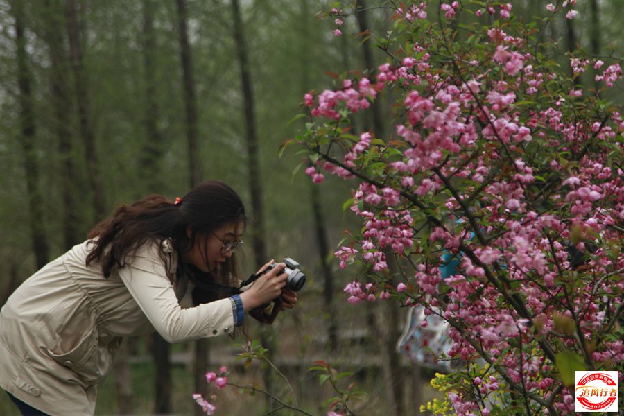 _MG_4718.jpg