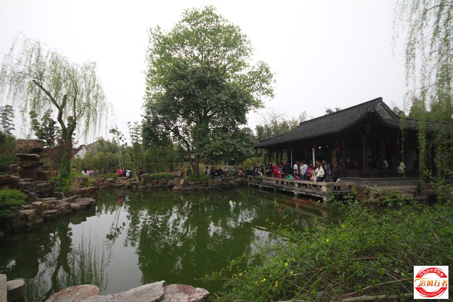 _MG_5205.jpg