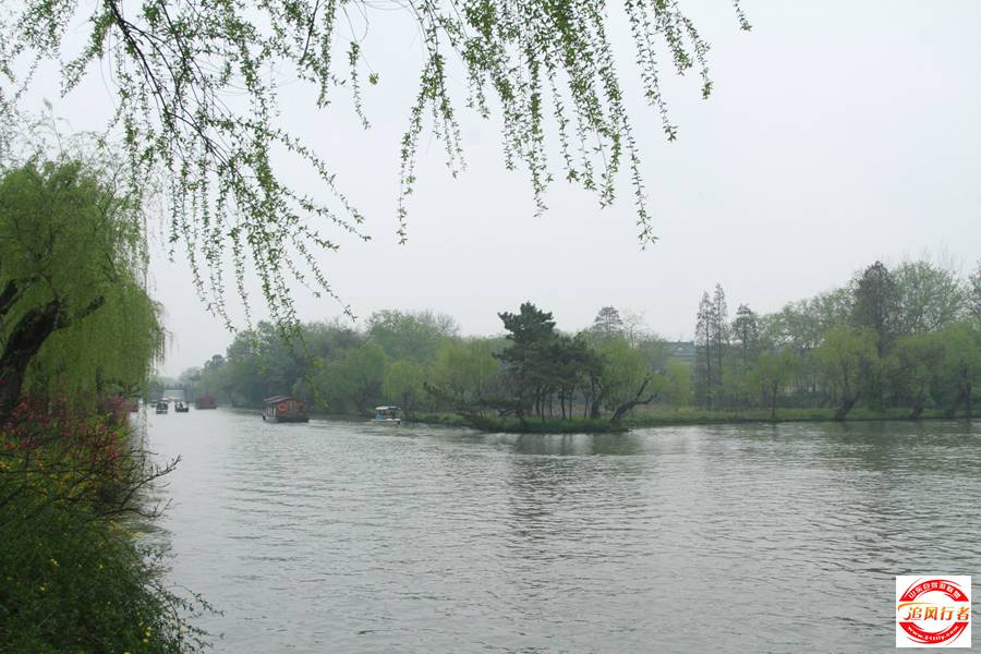 _MG_5231.jpg