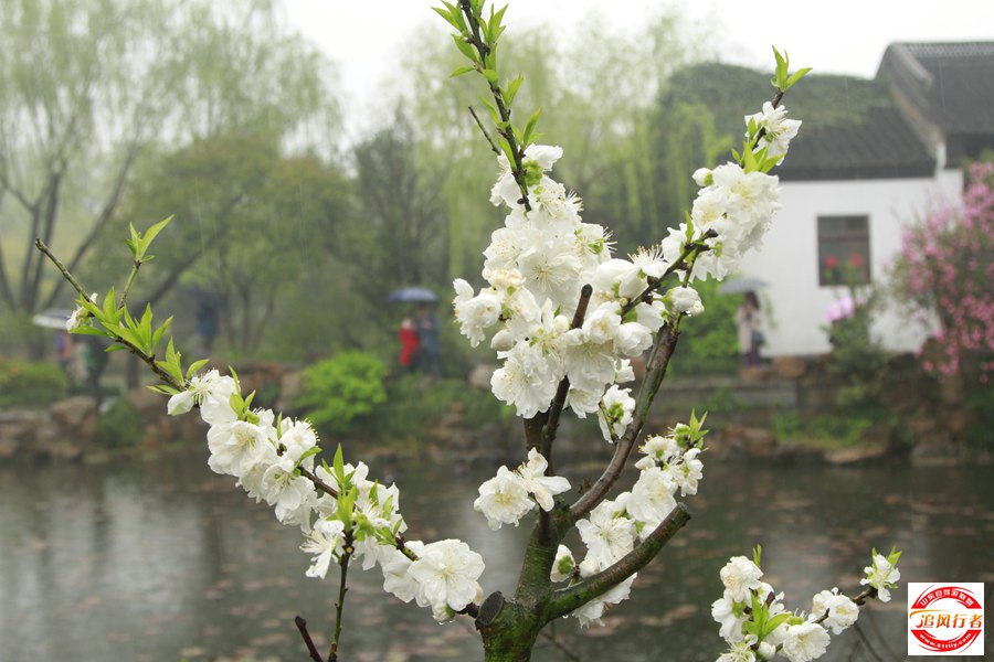 _MG_5272.jpg