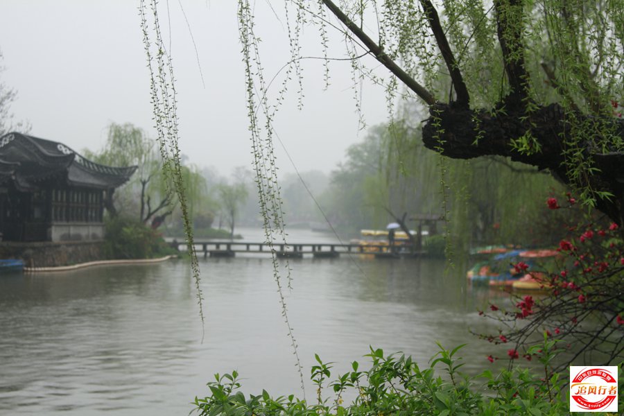 _MG_5315.jpg