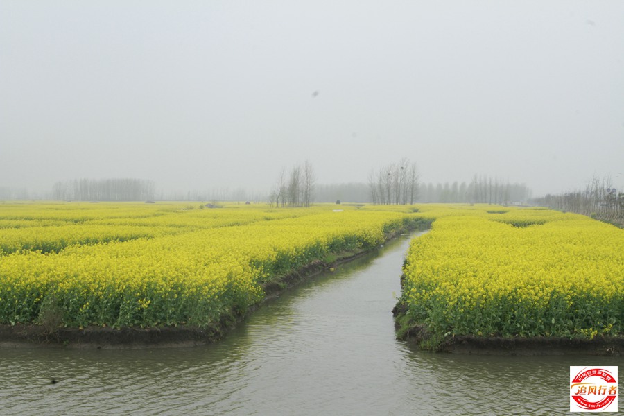 _MG_5560.jpg
