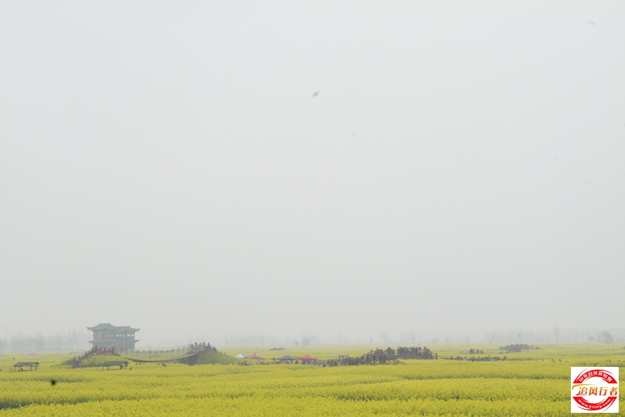 _MG_5554.jpg