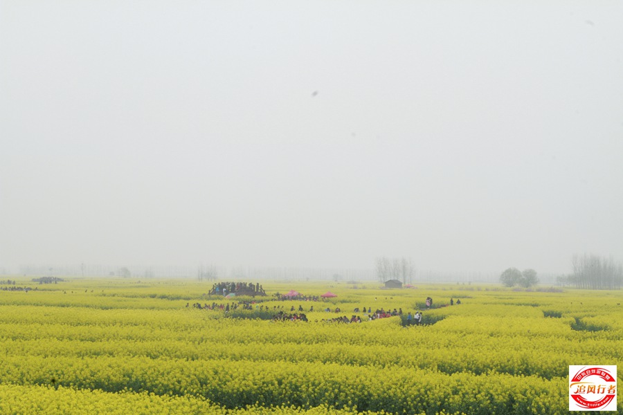 _MG_5555.jpg