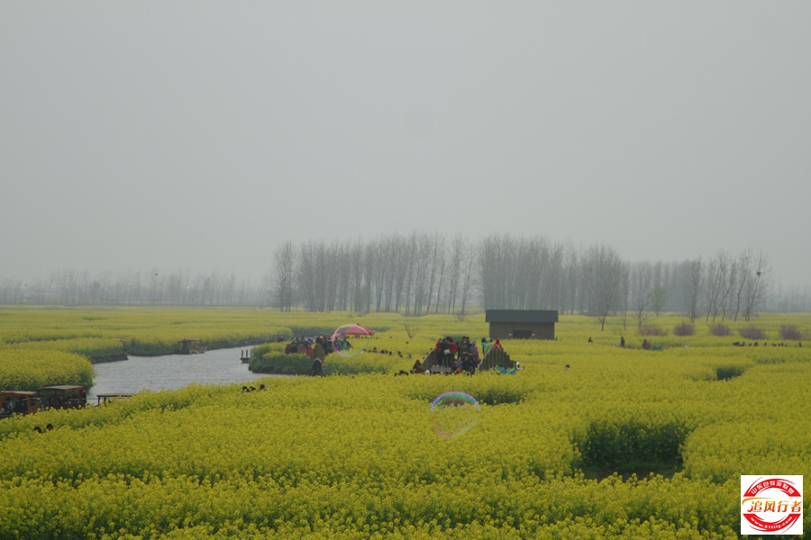 _MG_5701.jpg