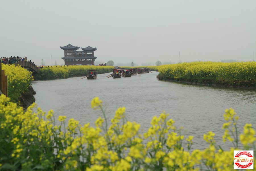 _MG_5672.jpg