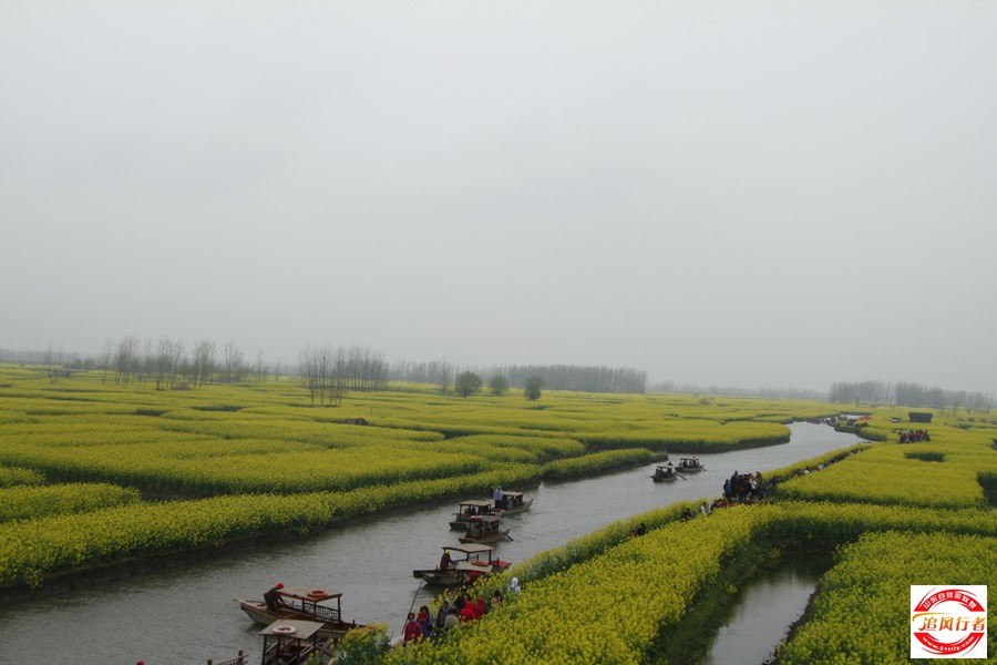 _MG_5683.jpg