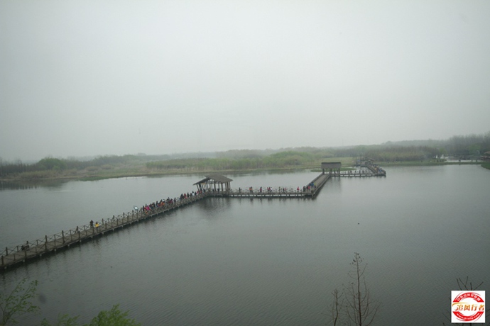 141A94V013.jpg