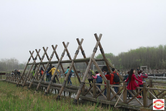 141F03V153.jpg