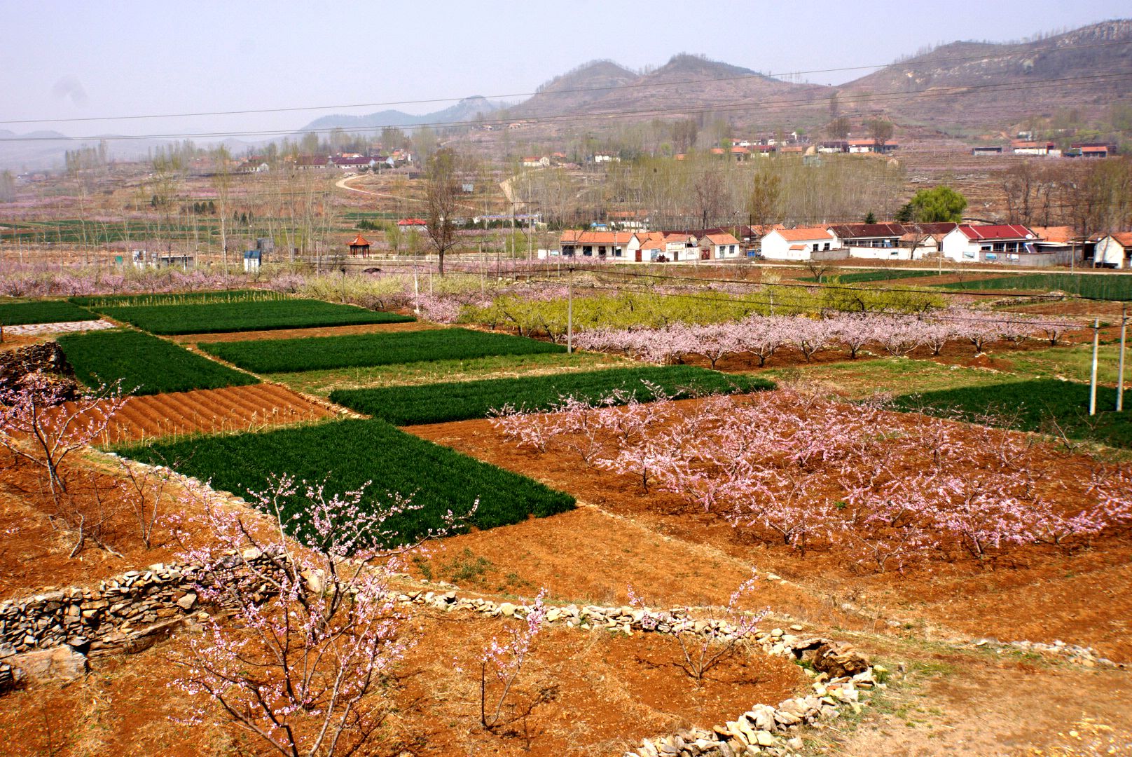 05.jpg