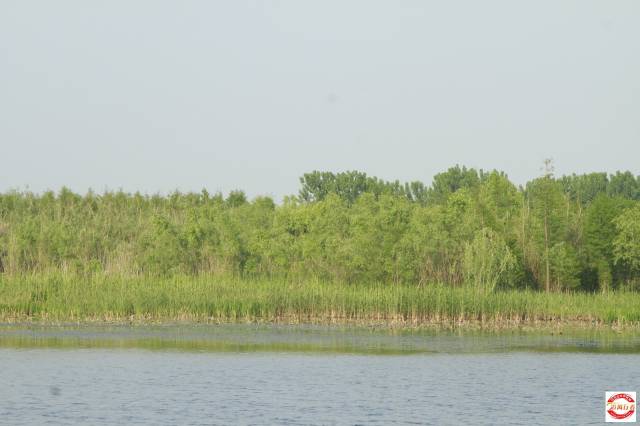 640.jpg