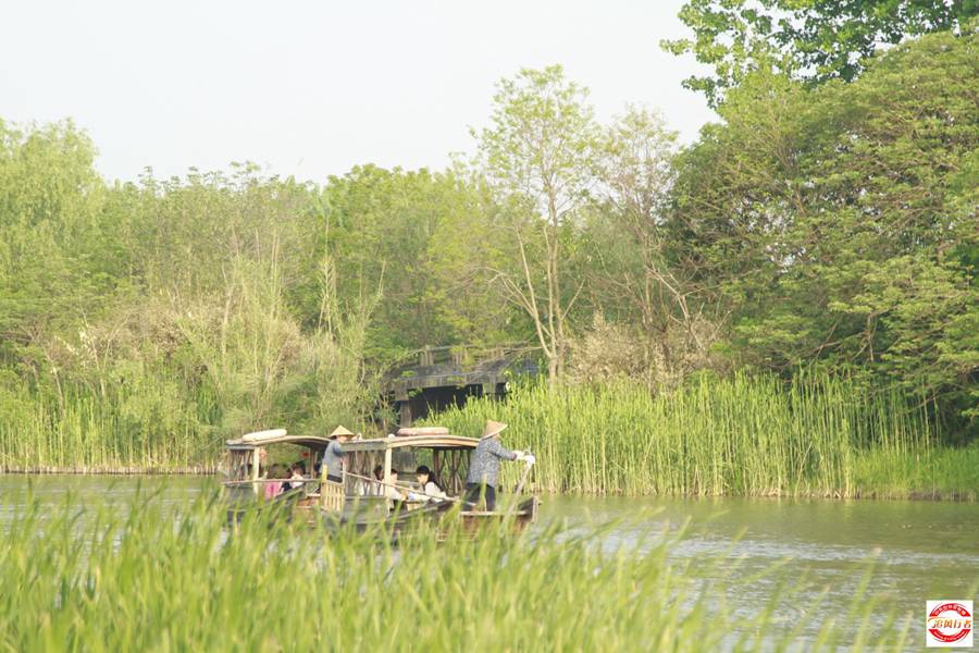 _MG_6338.jpg