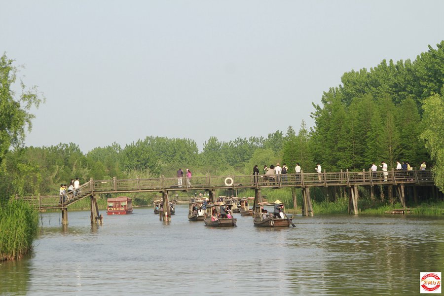_MG_6318.jpg