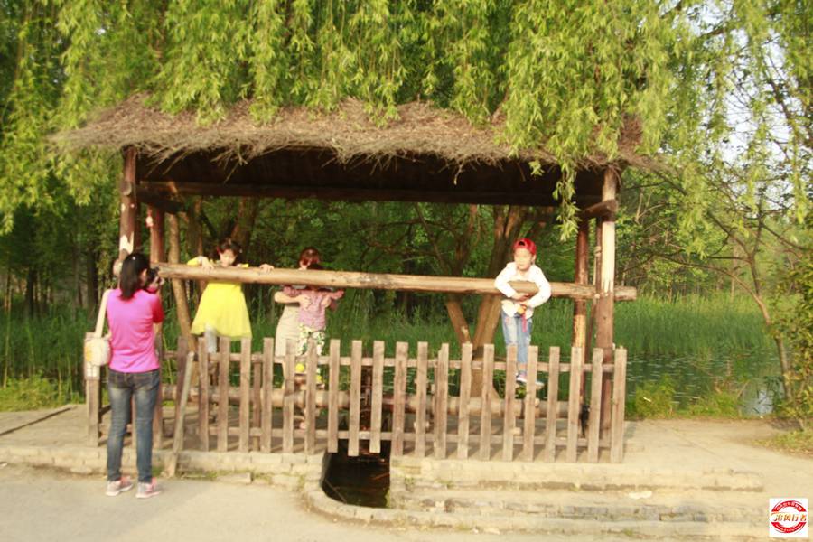 _MG_6386.jpg