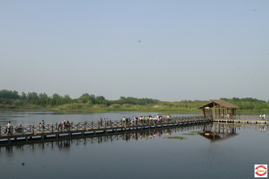 _MG_6281.jpg