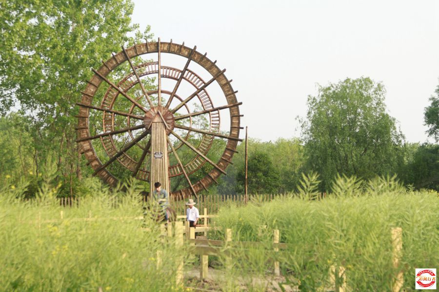 _MG_6383.jpg