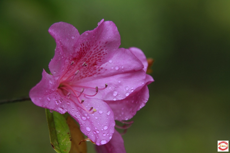 _MG_6614.jpg