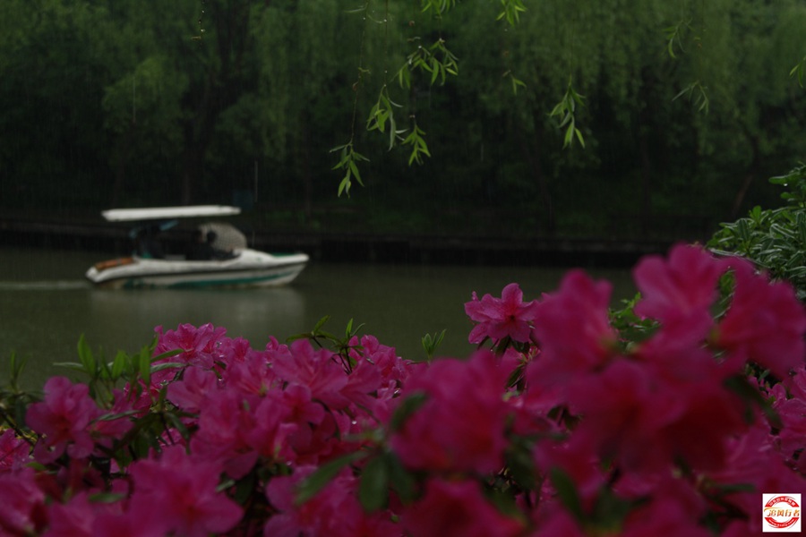 _MG_6677.jpg