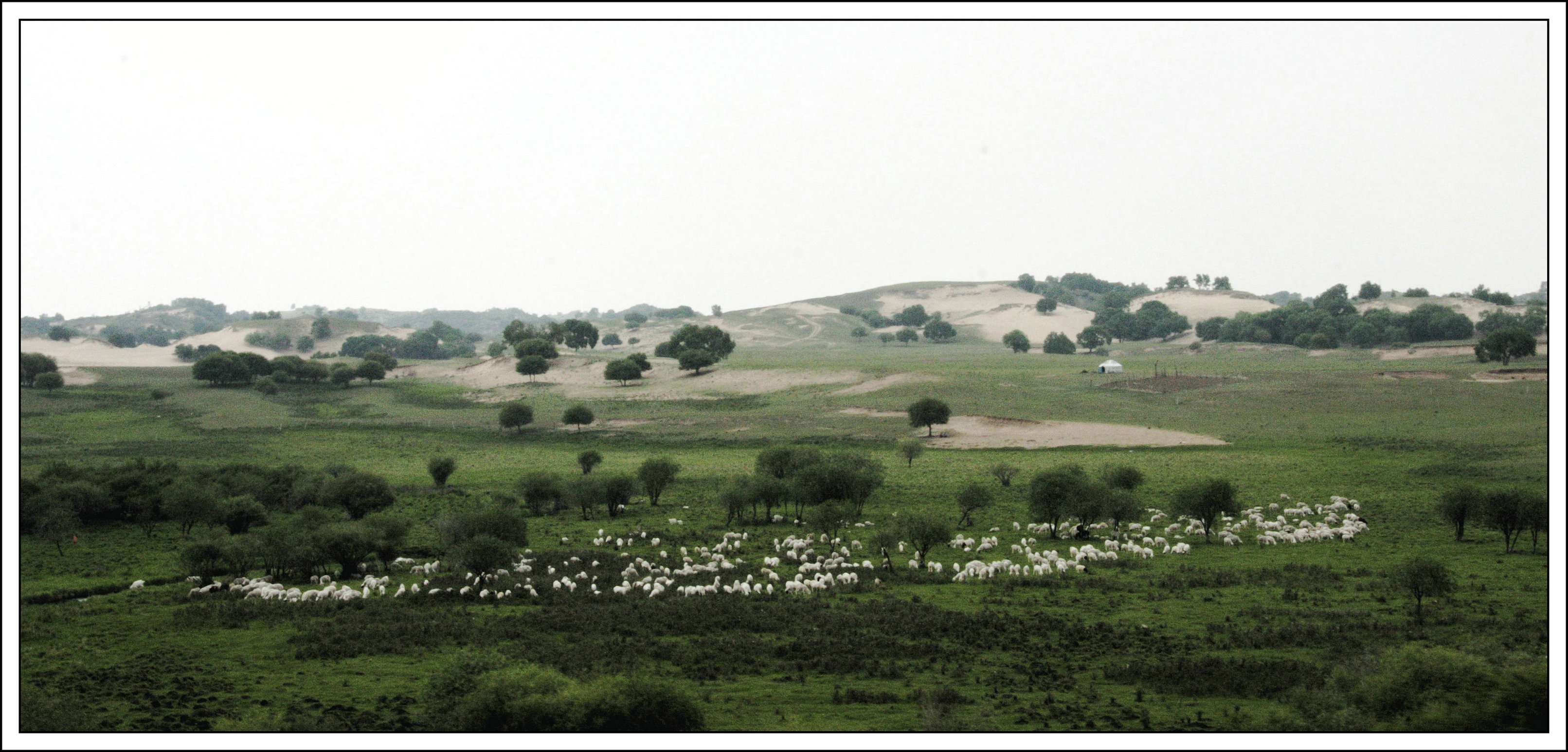 05.JPG