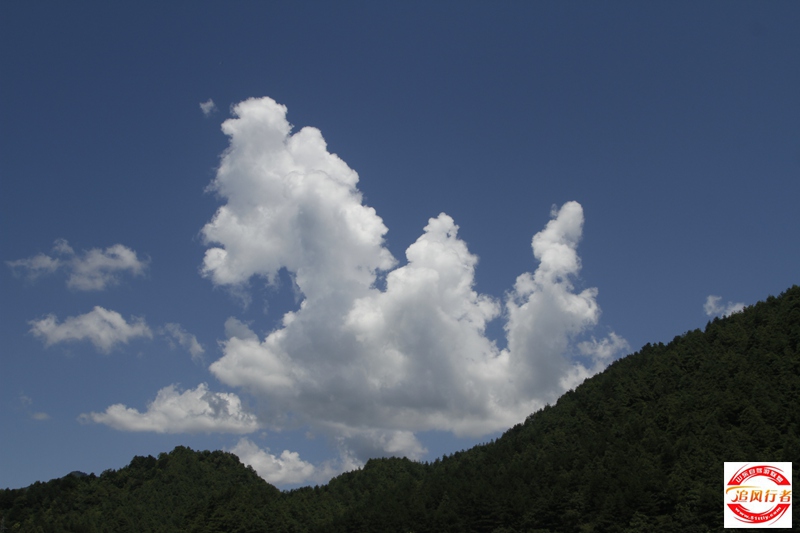 _MG_2202.JPG