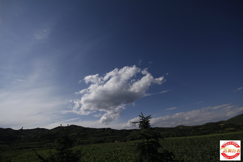 _MG_2246.JPG