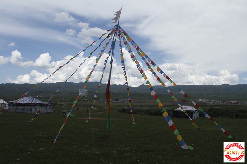 _MG_2529.JPG