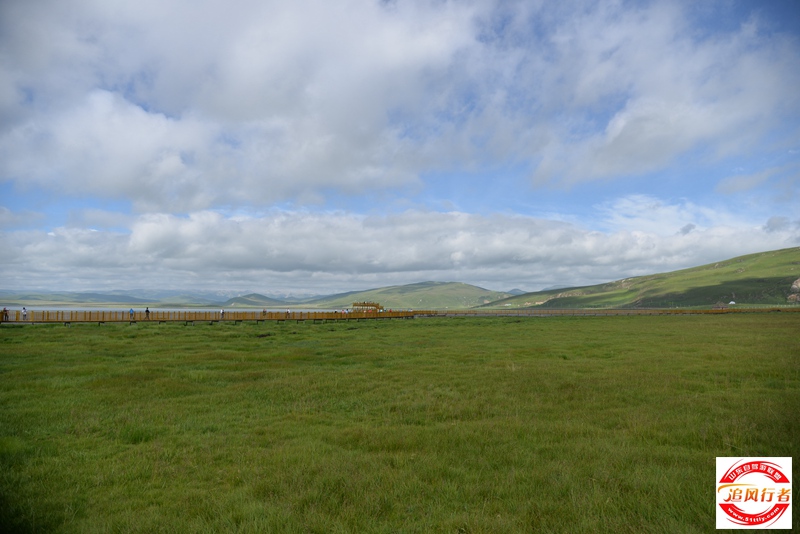 DSC_5758.JPG