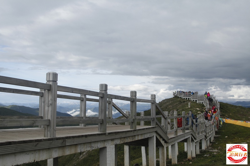 _MG_3269.JPG