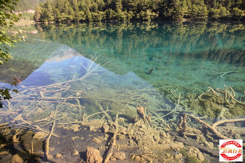 DSC_6672.JPG