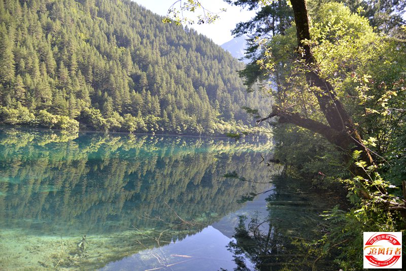 DSC_6703.JPG