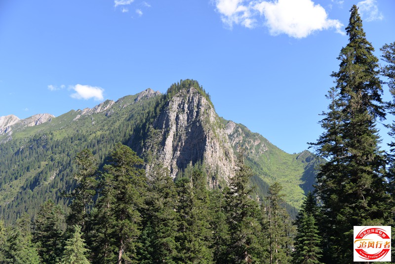 DSC_6722.JPG