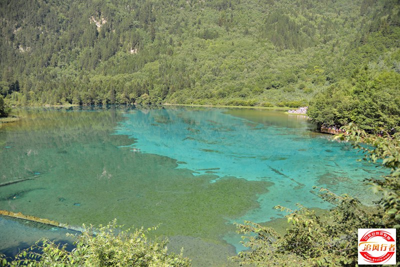 DSC_6791.JPG