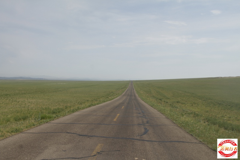 _MG_0990.JPG