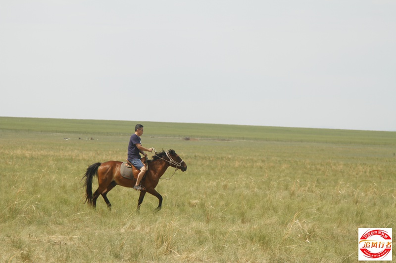 _MG_1093.JPG