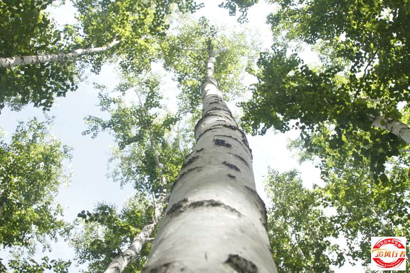 _MG_1280.JPG