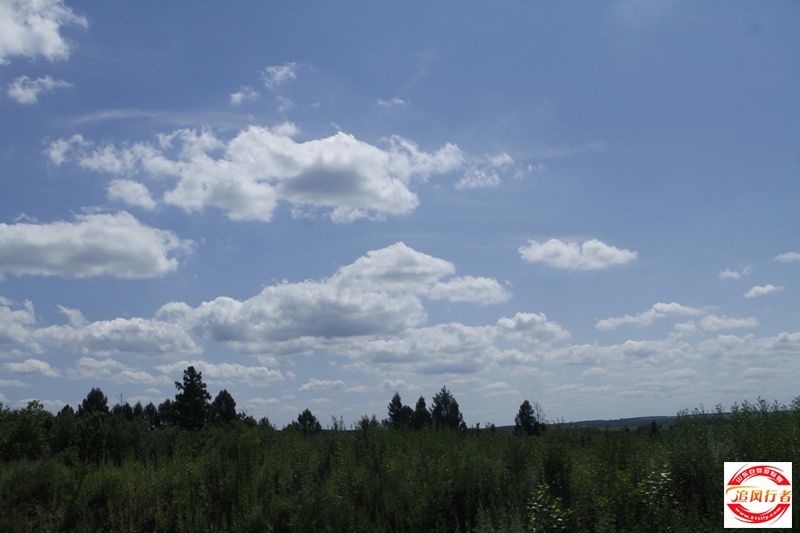 _MG_1951.JPG
