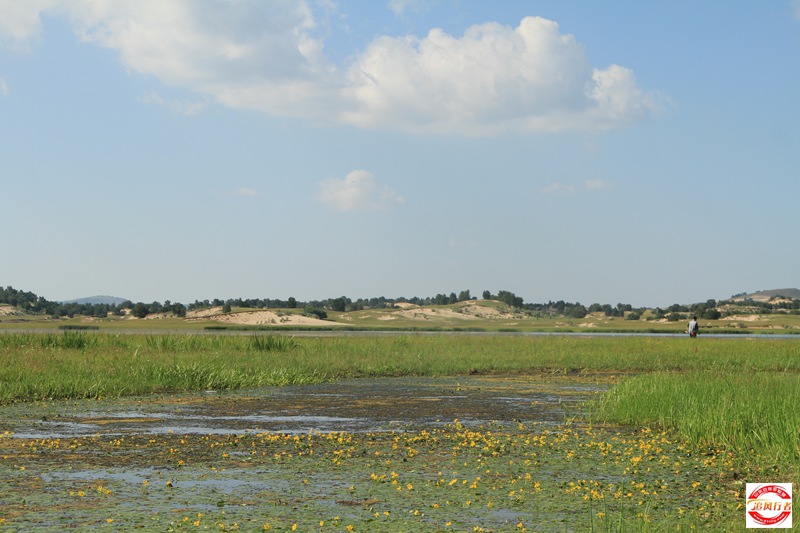 IMG_9821.JPG