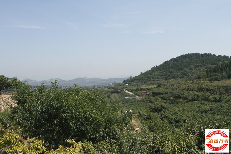 _MG_0310.JPG