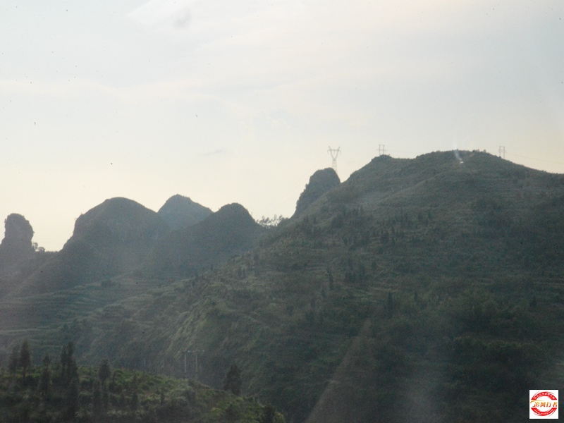 DSC_2770.jpg