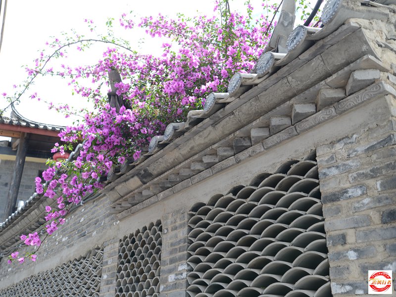 DSC_3208.jpg
