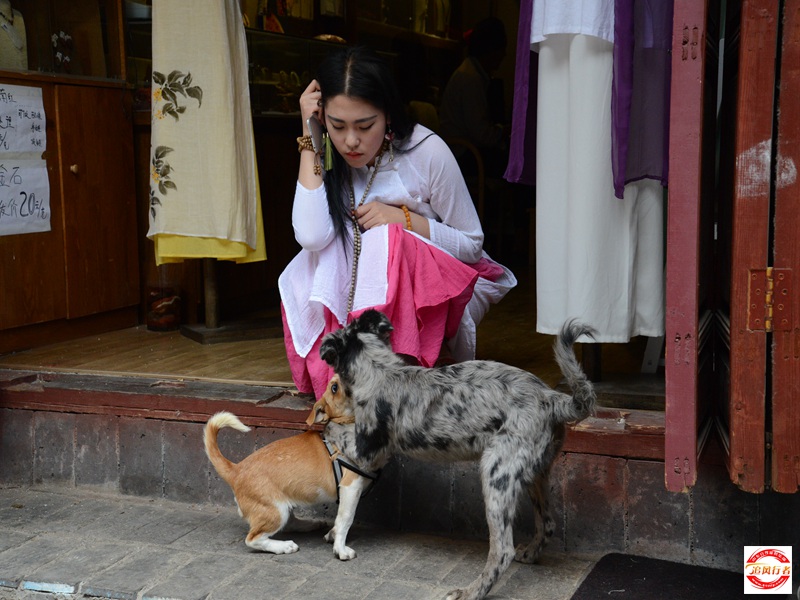 DSC_3233.jpg